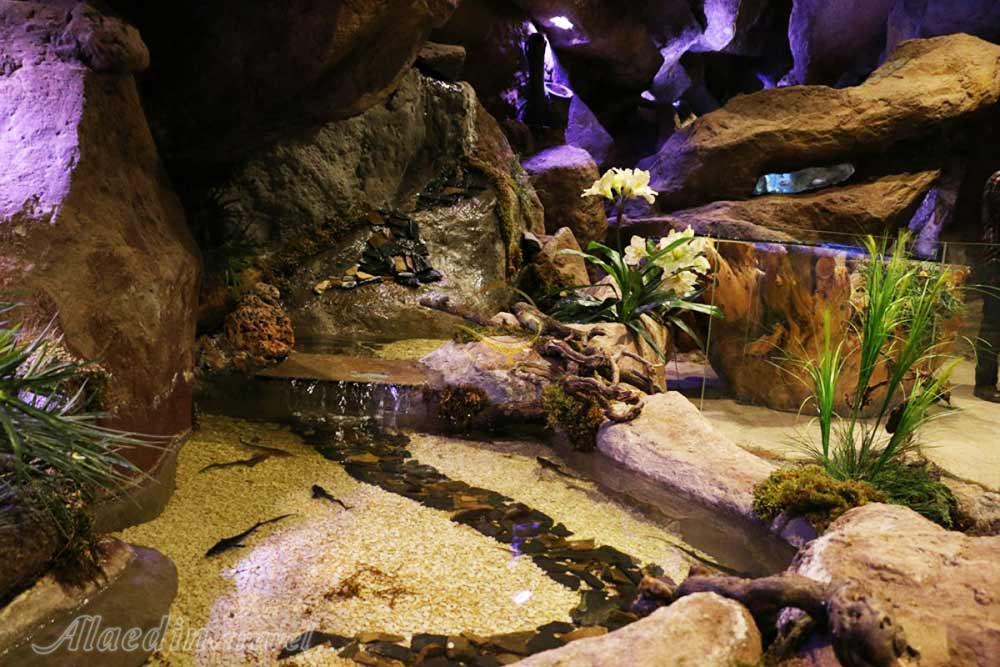 غار آکواریوم گنجنامه همدان | علاءالدین تراول