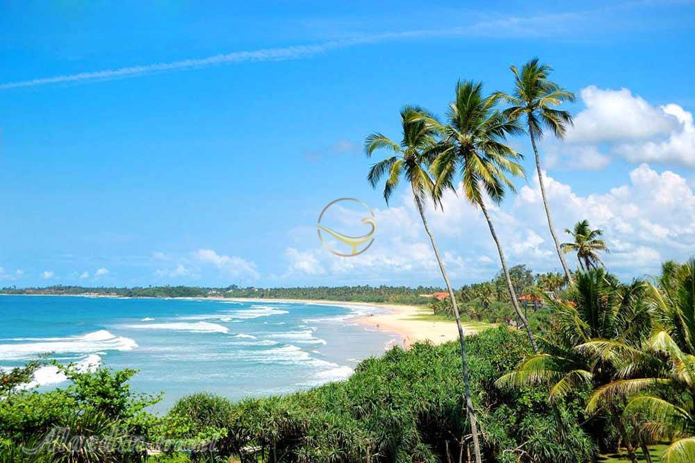 ساحل هیکادوآ - سریلانکا | علاءالدین تراول