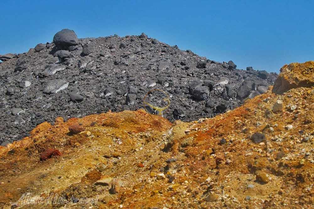 دشت زعفرانی در هرمز | علاءالدین تراول