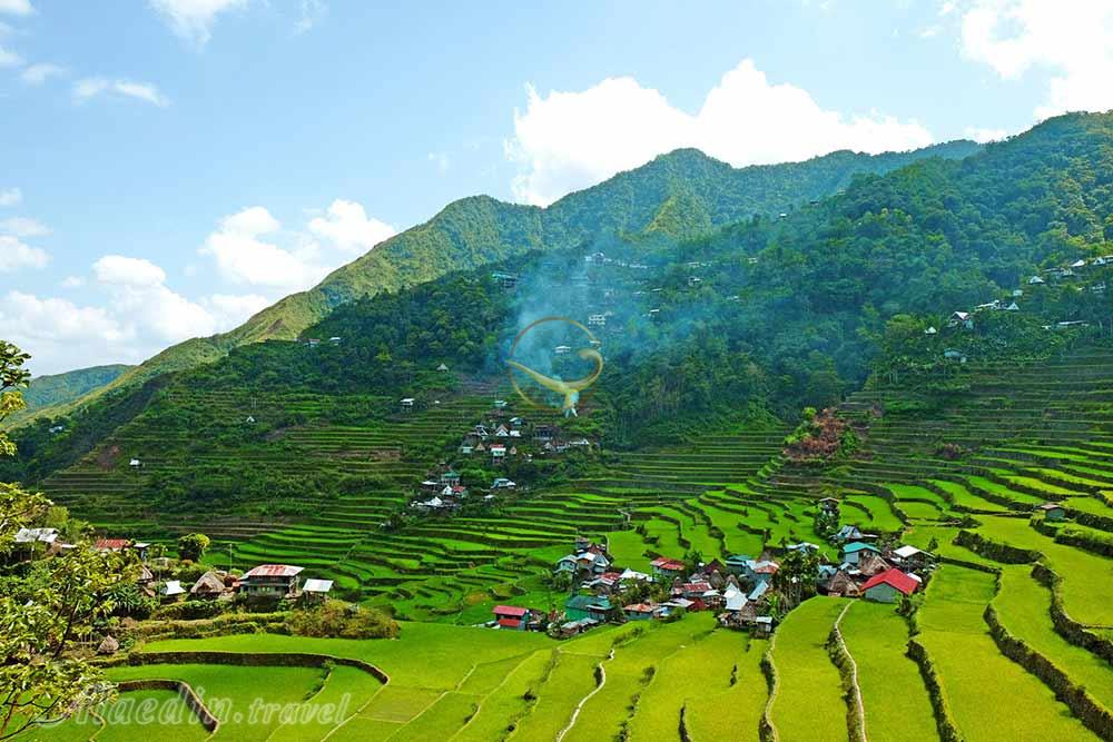 شالیزارهای پلکانی بانائو در ایفوگائو | علاءالدین تراول