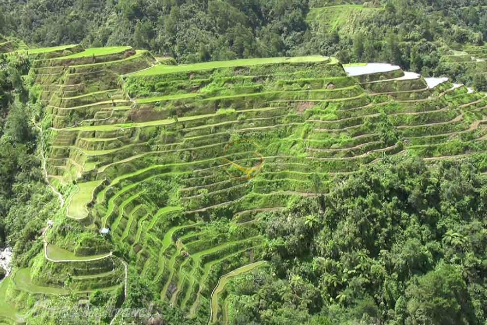 شالیزارهای پلکانی بانائو در ایفوگائو | علاءالدین تراول