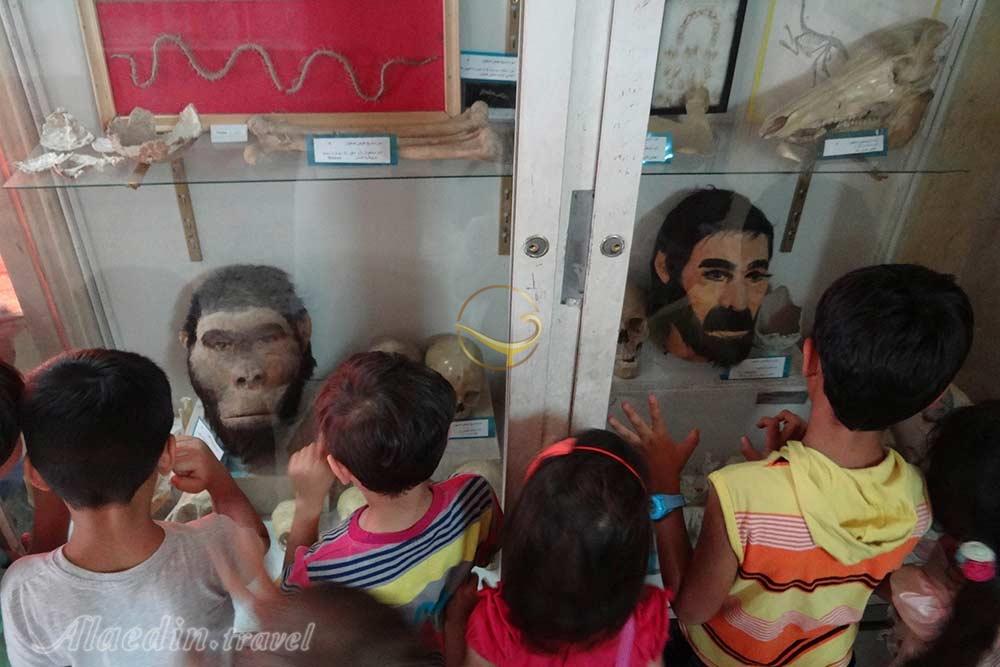 موزه تاریخ طبیعی اصفهان | علاءالدین تراول