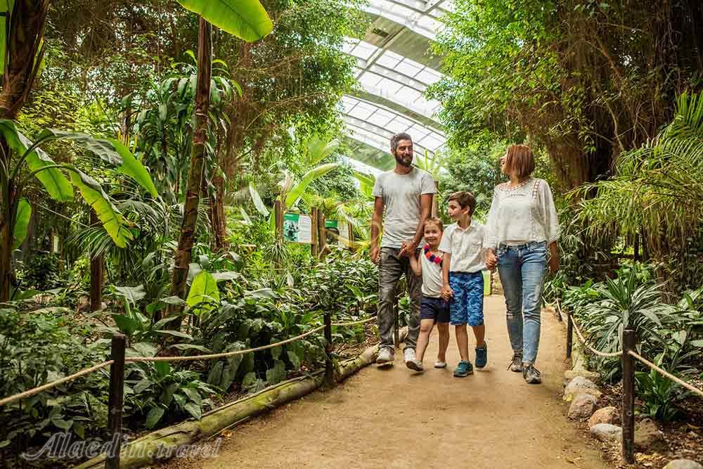 پارک حیات وحش ازمیر در ترکیه | علاءالدین تراول