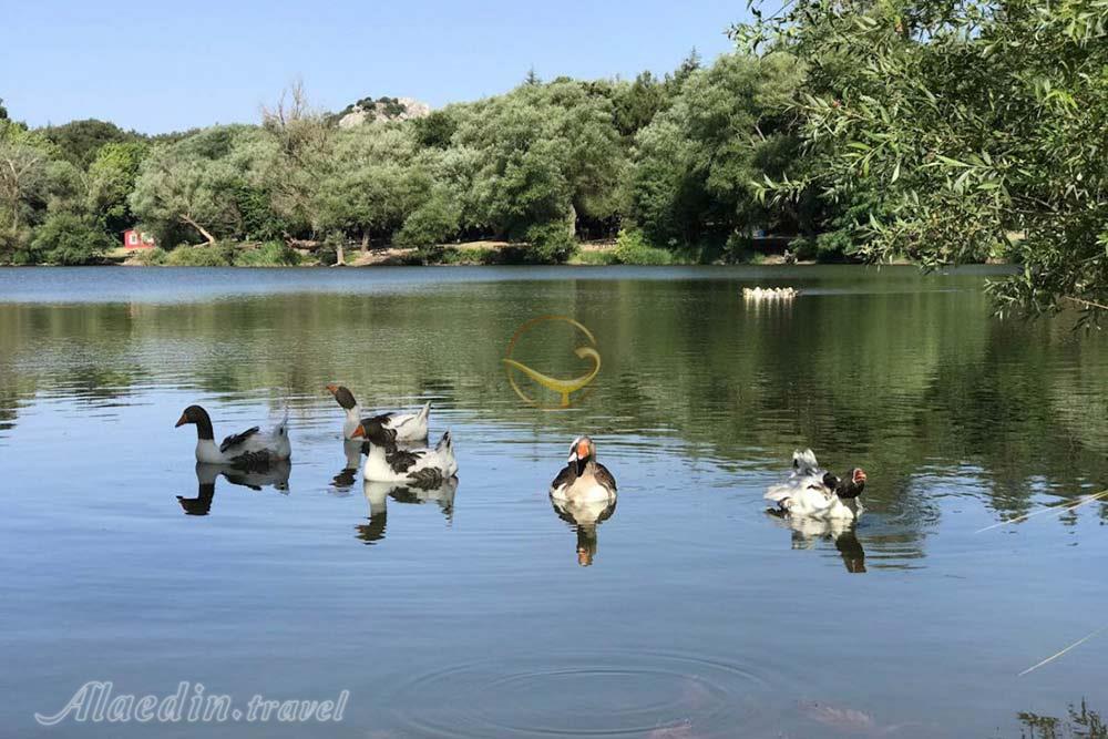 پارک طبیعت کاراگول (قره گول) در ازمیر - ترکیه | علاءالدین تراول