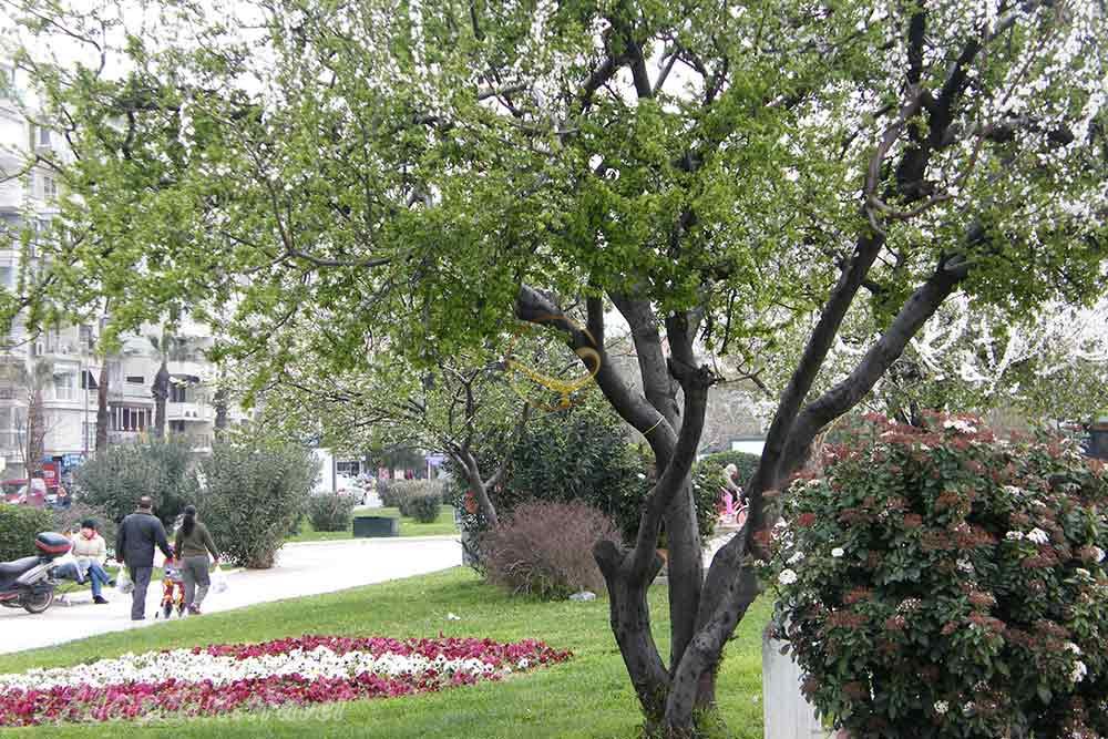 پارک موامر اکسوی در ازمیر - ترکیه | علاءالدین تراول