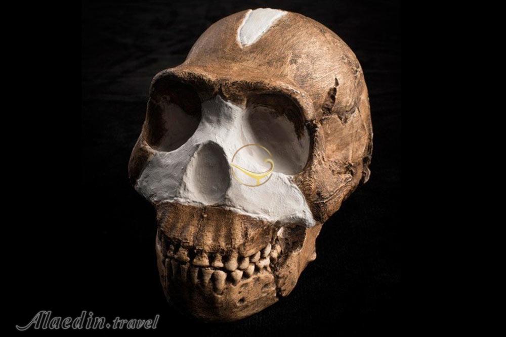 گهواره نوع بشر ژوهانسبورگ | علاءالدین تراول