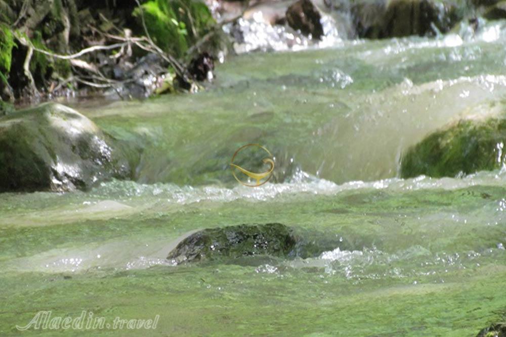 چشمه آق سو کلاله | علاءالدین تراول