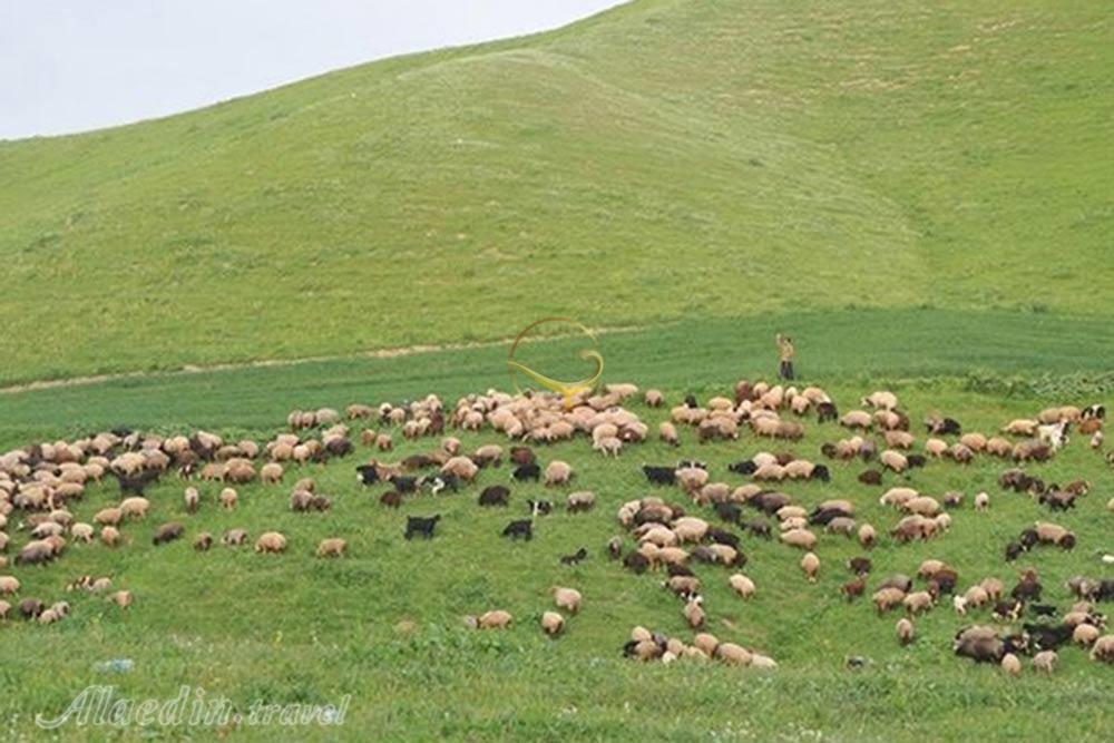 روستای گچی سو بالا کلاله | علاءالدین تراول