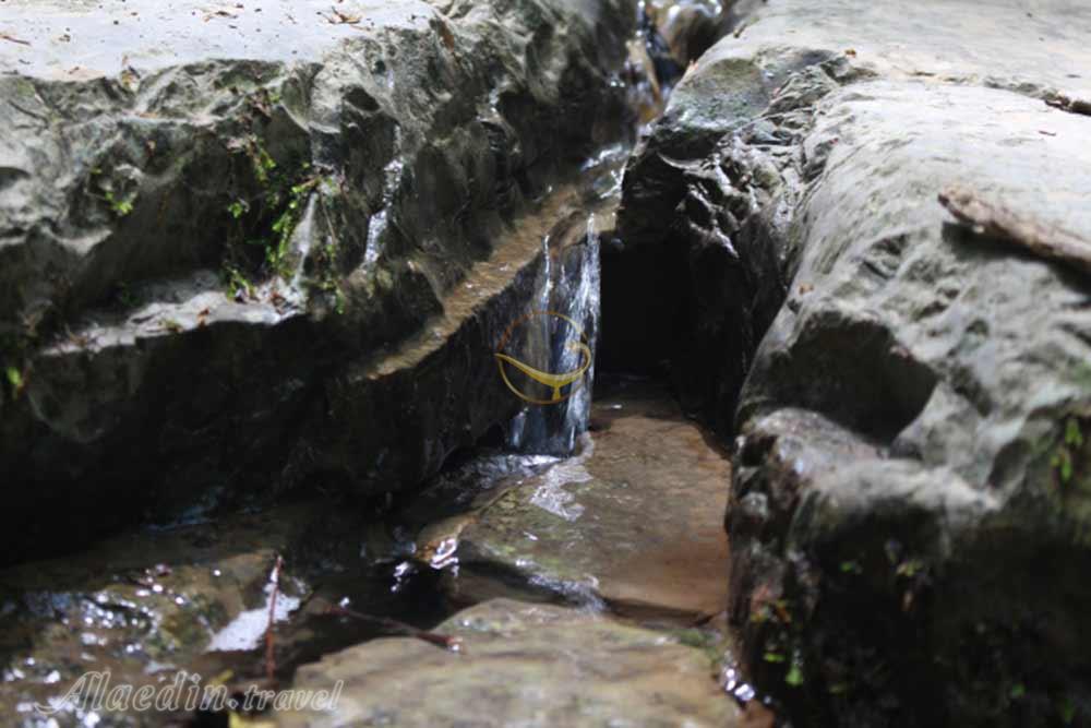 جنگل پلکانی کلاله | علاءالدین تراول