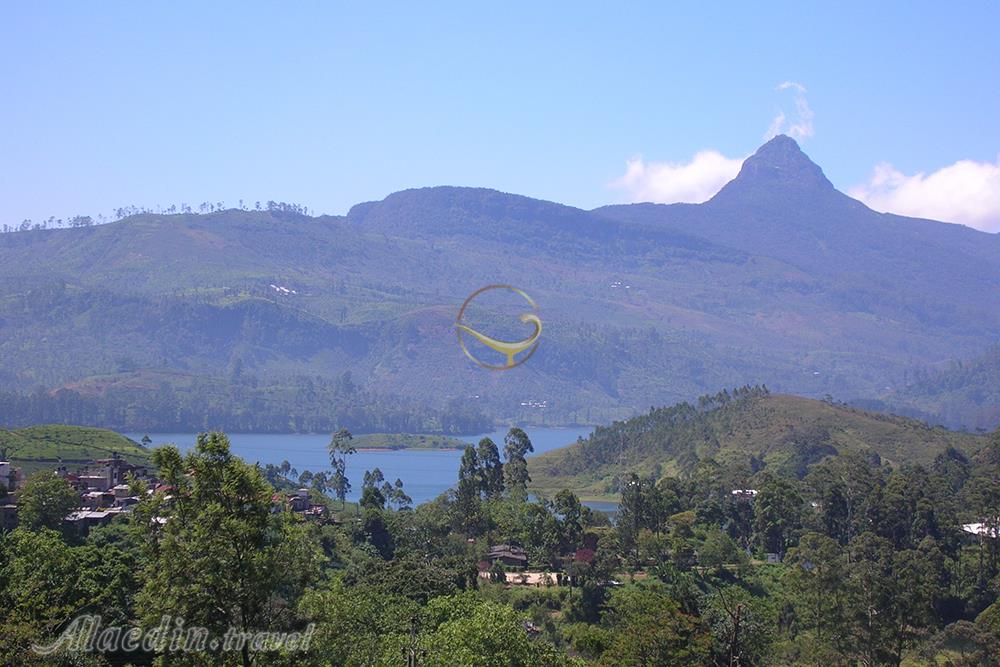 ارتفاعات مرکزی سریلانکا در کندی | علاءالدین تراول