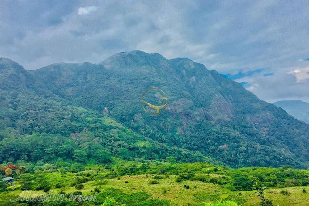 ارتفاعات مرکزی سریلانکا در کندی | علاءالدین تراول