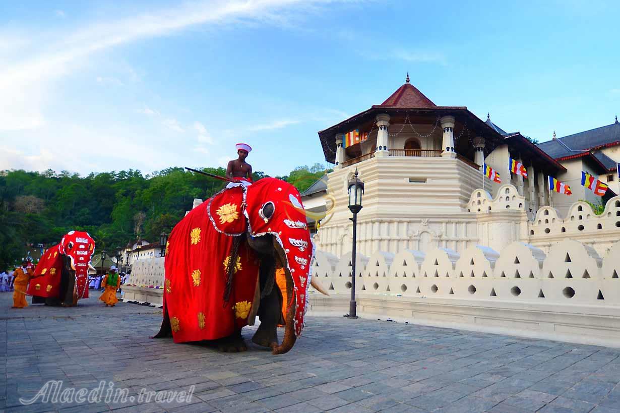 معبد دندان مقدس کندی | علاءالدین تراول