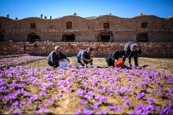 روستای علوی اردهال در کاشان