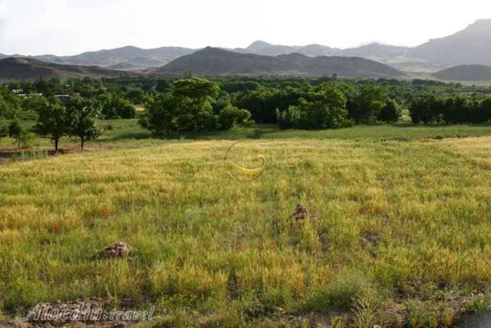 روستای کمال الملک در کاشان (کله کاشان) | علاءالدین تراول