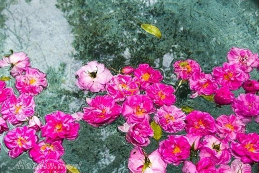 قمصر کاشان | علاءالدین تراول