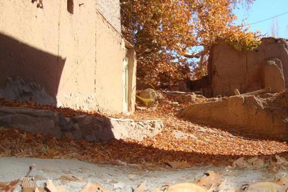 روستای ون در کاشان | علاءالدین تراول