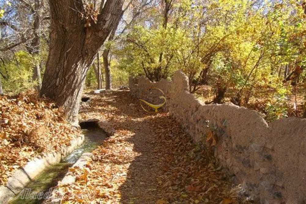 روستای ون در کاشان | علاءالدین تراول