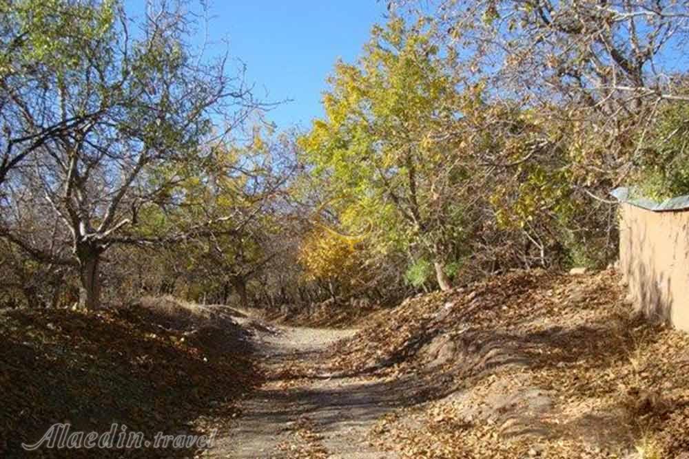 روستای ون در کاشان | علاءالدین تراول