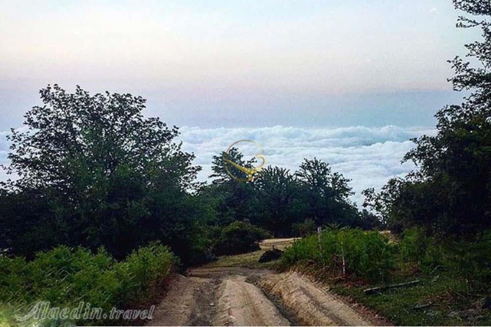 ییلاق مازیچال کلاردشت | علاءالدین تراول