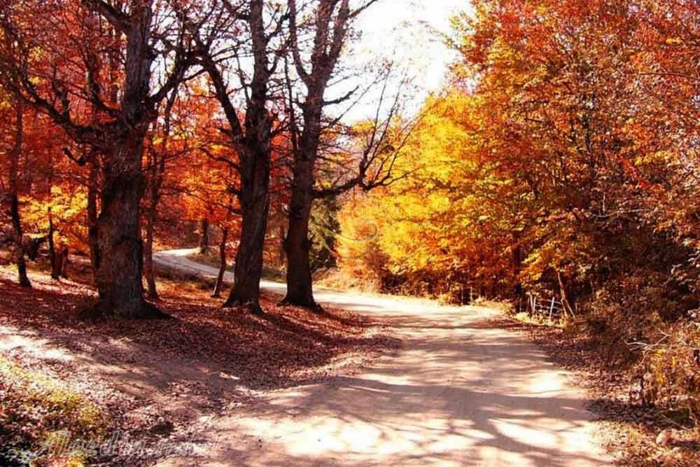 ییلاق مازیچال کلاردشت | علاءالدین تراول