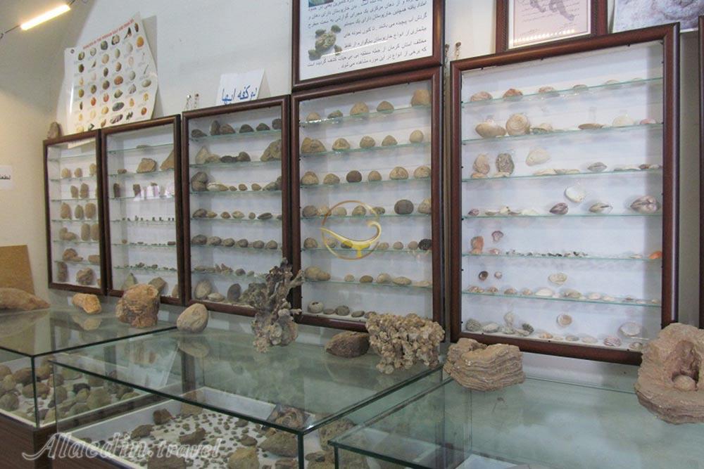 موزه دیرین شناسی در کرمان | علاءالدین تراول