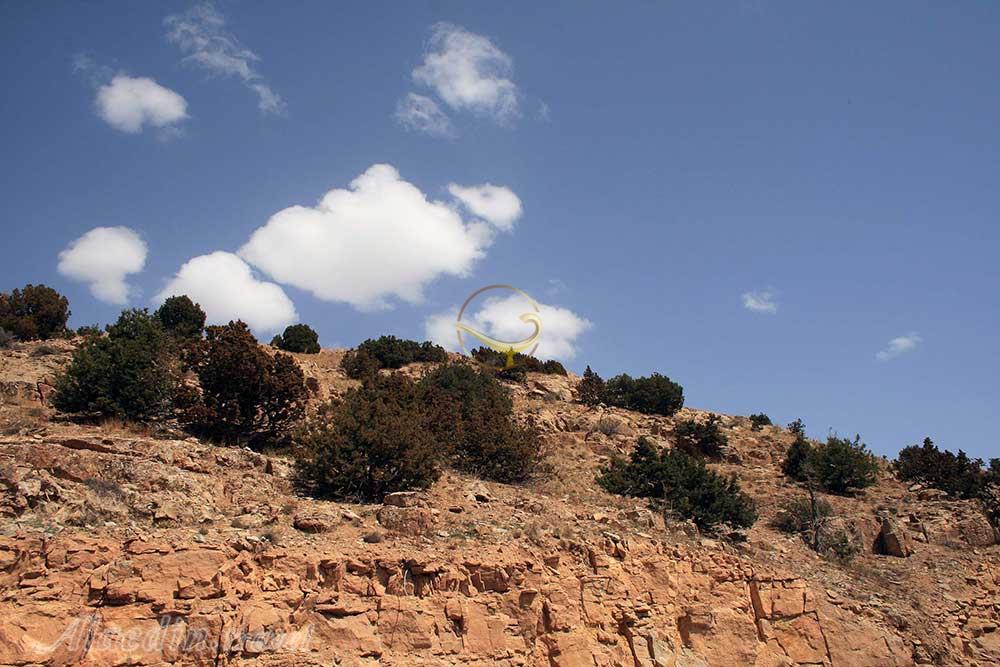 منطقه حفاظت شده سعدی در کرمان | علاءالدین تراول