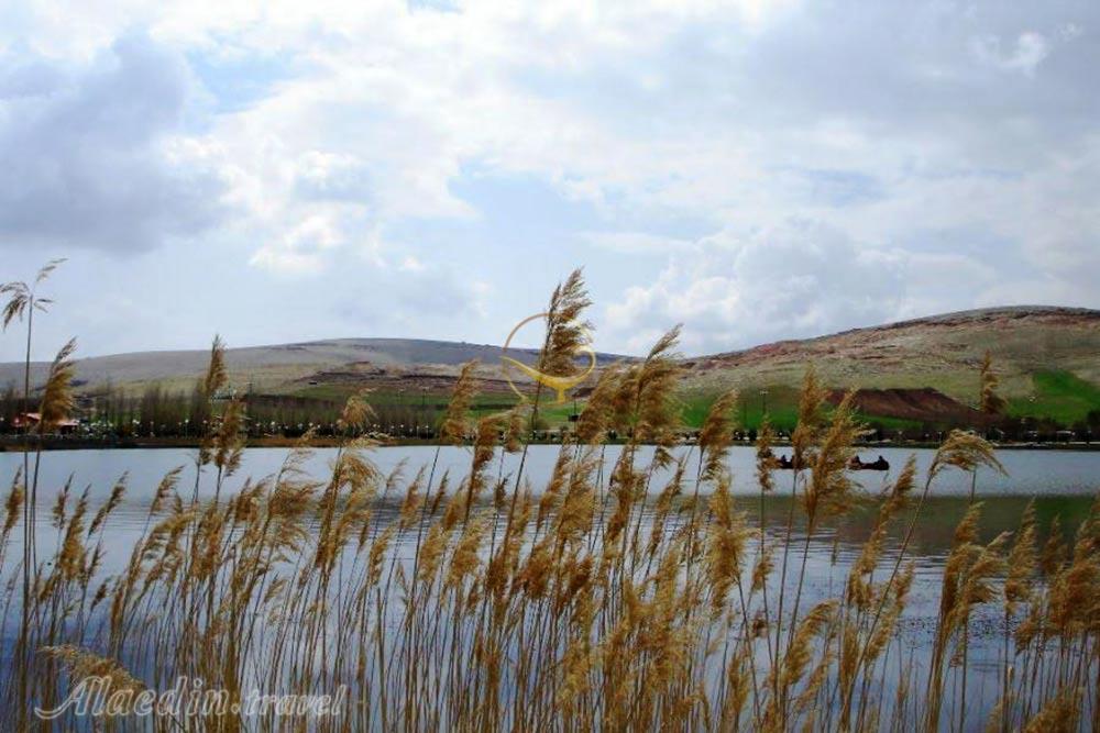 سرآب نیلوفر کرمانشاه | علاءالدین تراول