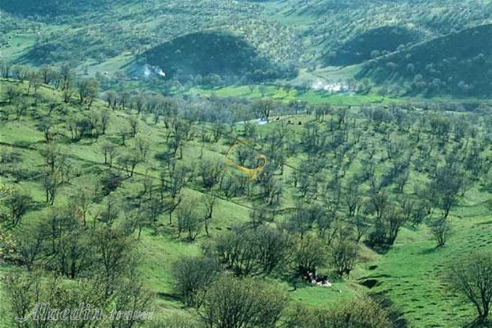 پارک جنگلی شورآب خرم آباد | علاءالدین تراول