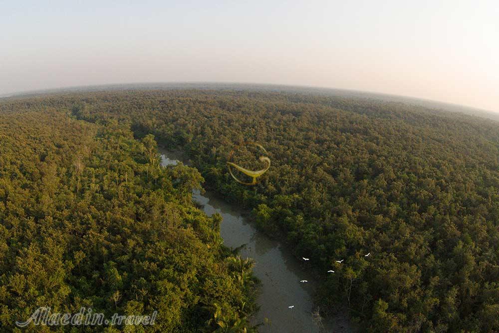 جنگل سونداربانس در خولنا | علاءالدین تراول