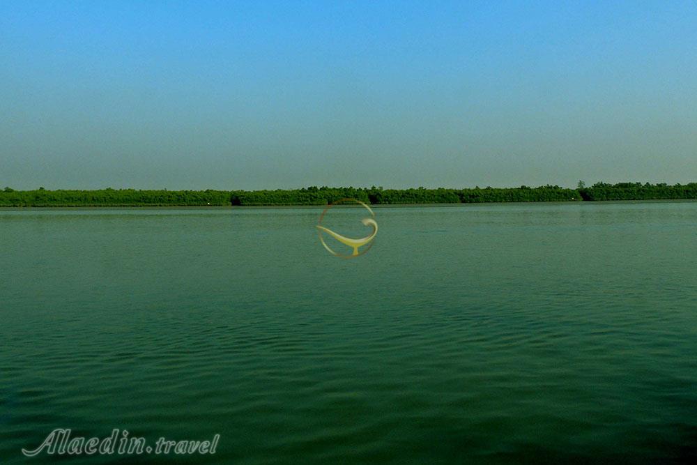 جنگل سونداربانس در خولنا | علاءالدین تراول