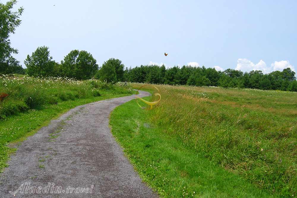 منطقه حفاظت شده لموینه پوینت در کینگستون - کانادا | علاءالدین تراول