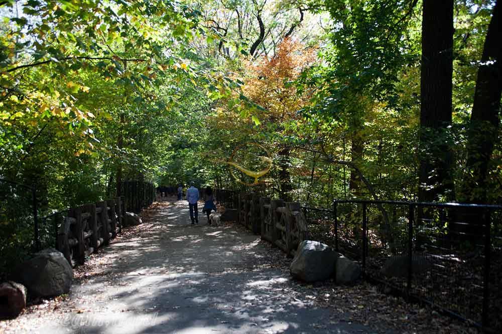 منطقه حفاظت شده مارشلندز در کینگستون - کانادا | علاءالدین تراول