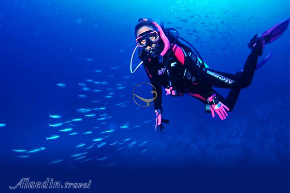 مرکز غواصی کیش | علاءالدین تراول