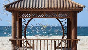 کلبه هور کیش | علاءالدین تراول