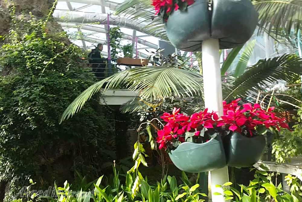 باغ پروانگان قونیه در ترکیه | علاءالدین تراول