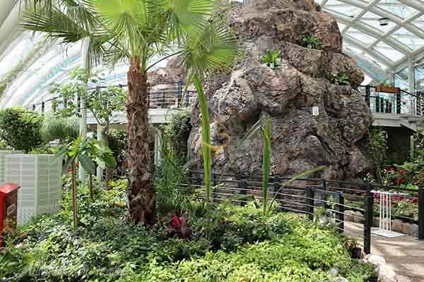 باغ پروانگان قونیه در ترکیه