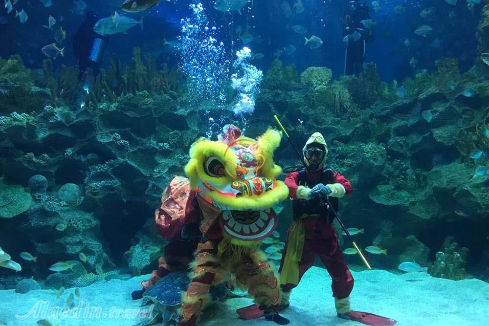 آکواریوم کوالالامپور در مالزی | علاءالدین تراول