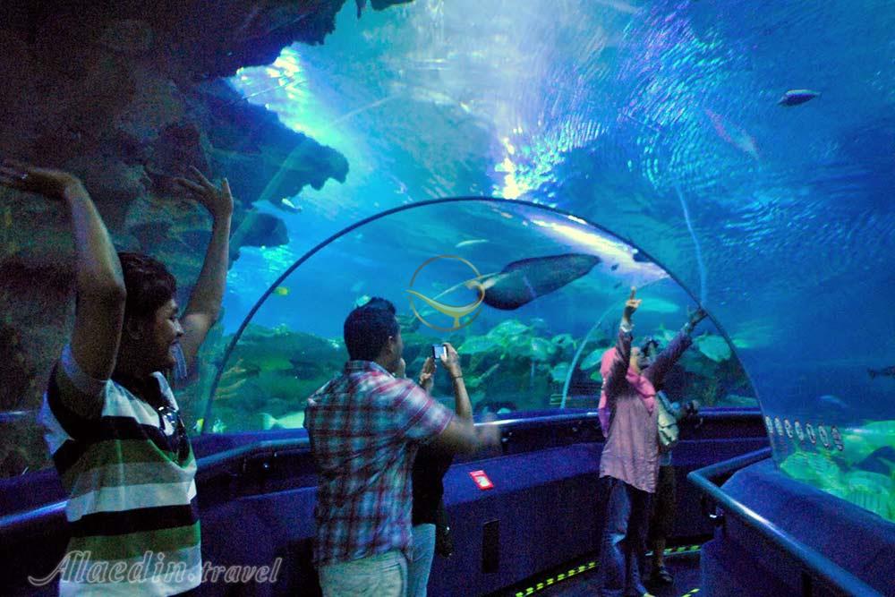 آکواریوم کوالالامپور در مالزی | علاءالدین تراول