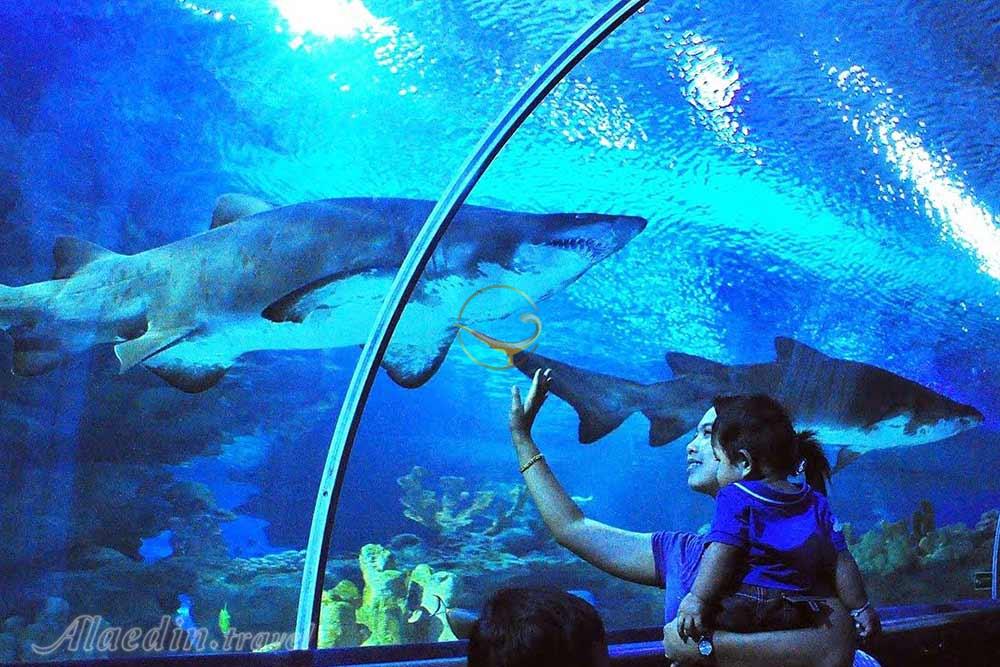 آکواریوم کوالالامپور در مالزی | علاءالدین تراول