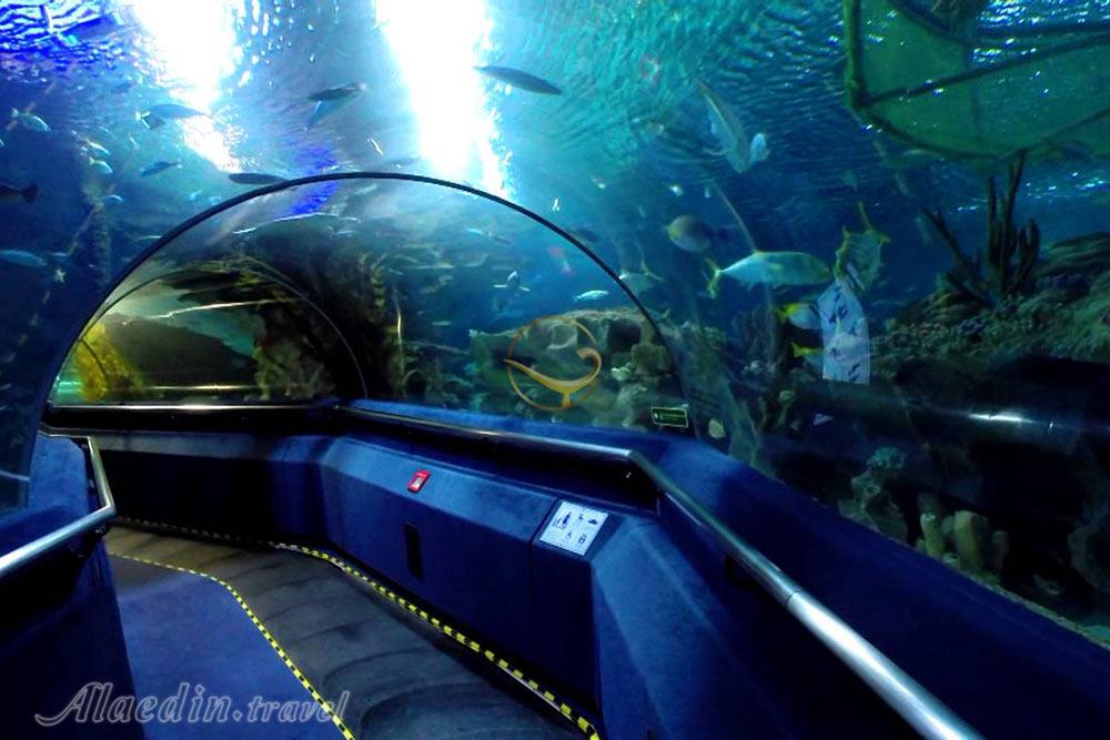 آکواریوم کوالالامپور در مالزی | علاءالدین تراول