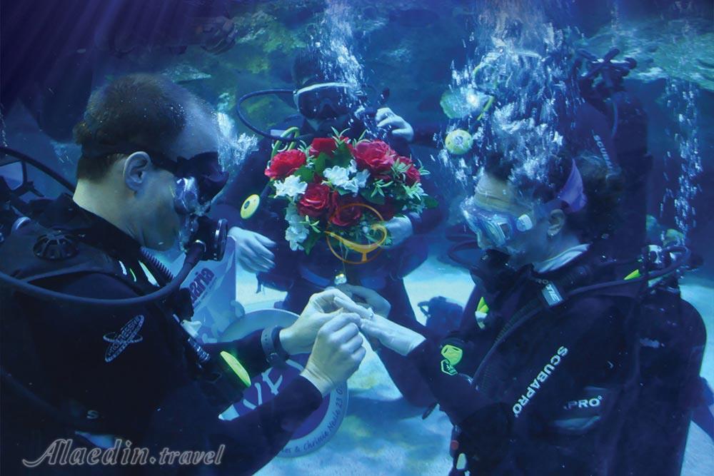 آکواریوم کوالالامپور در مالزی | علاءالدین تراول