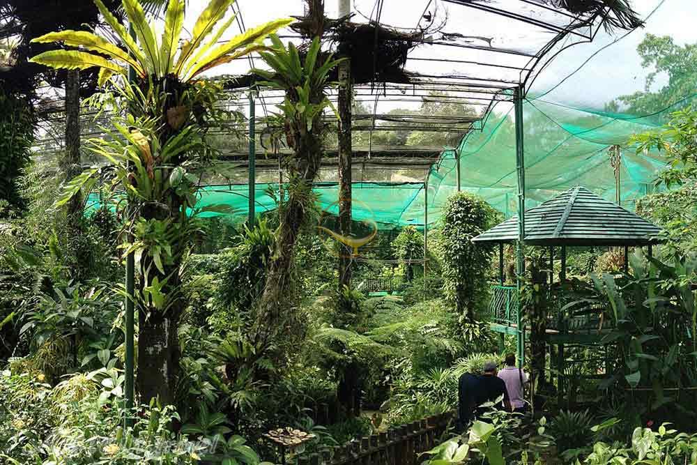 پارک پروانه کوالالامپور در مالزی | علاءالدین تراول