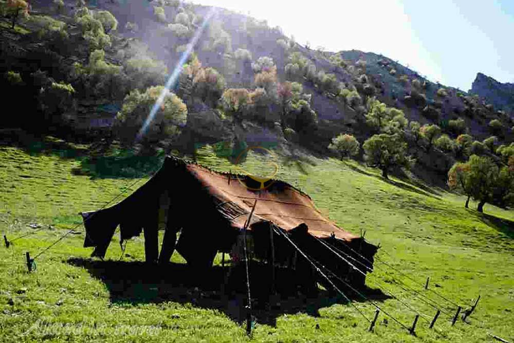 روستای سرآقا سید کوهرنگ | علاءالدین تراول