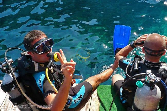 غواصی در دریای اژه در کوش آداسی | علاءالدین تراول