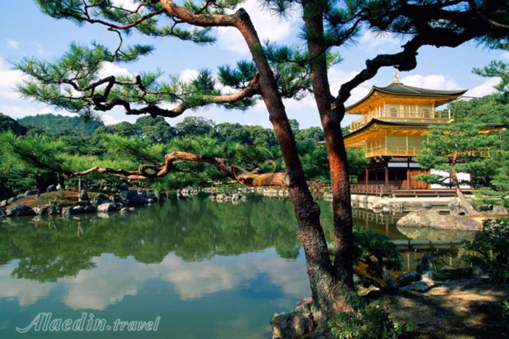 معبد کیناکوجی کیوتو - ژاپن | علاءالدین تراول