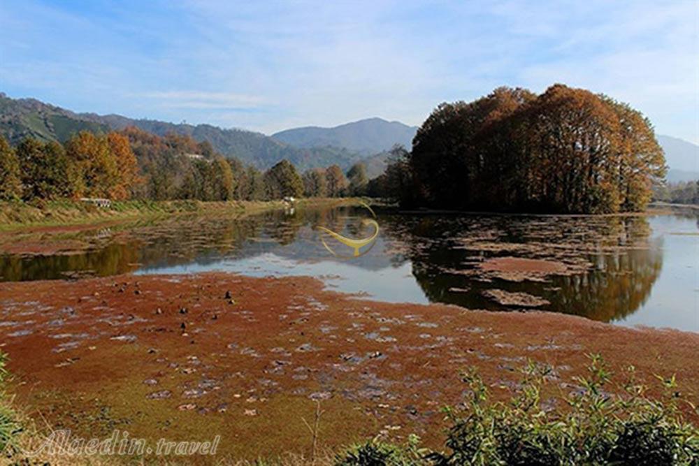 تالاب سوستان در لاهیجان | علاءالدین تراول