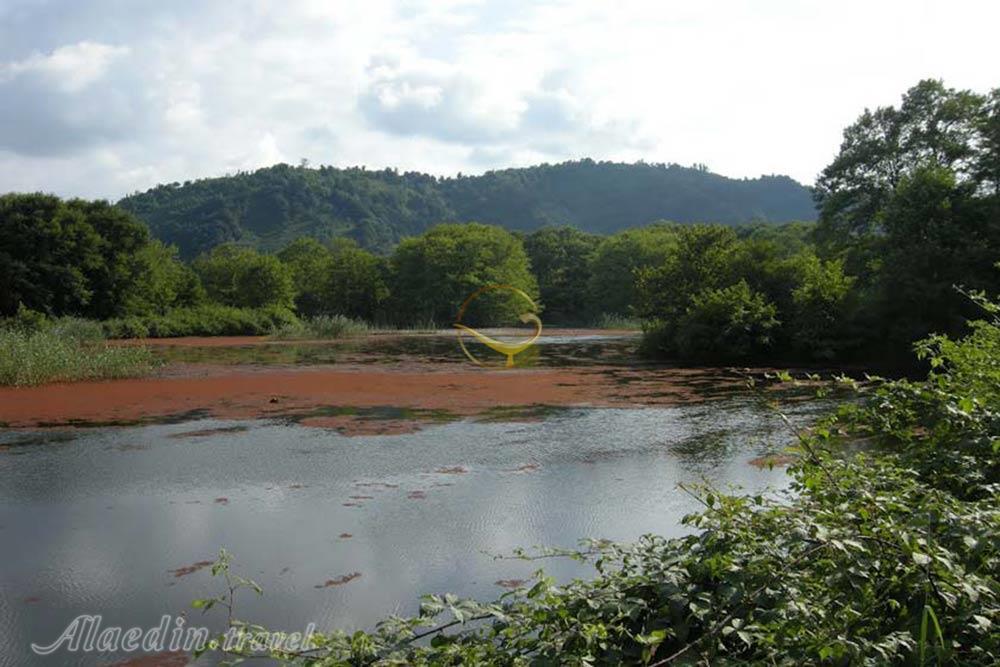 تالاب سوستان در لاهیجان | علاءالدین تراول