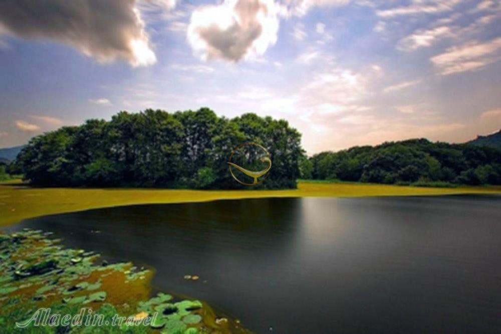 تالاب سوستان در لاهیجان | علاءالدین تراول