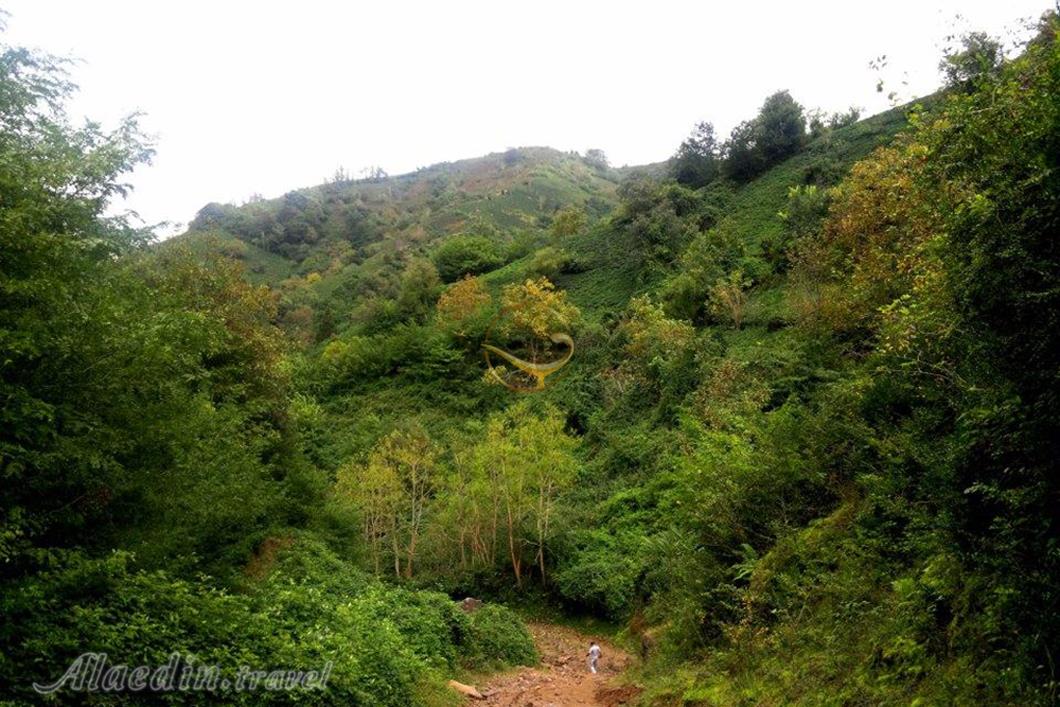 لیلاکوه لنگرود | علاءالدین تراول