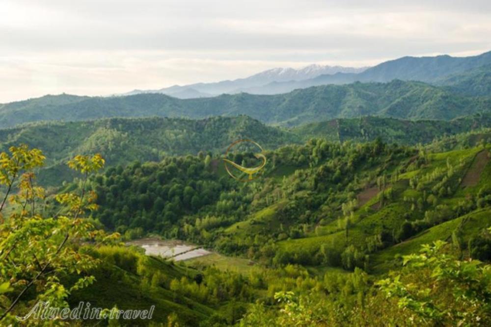 پارک جنگلی خرما لنگرود | علاءالدین تراول
